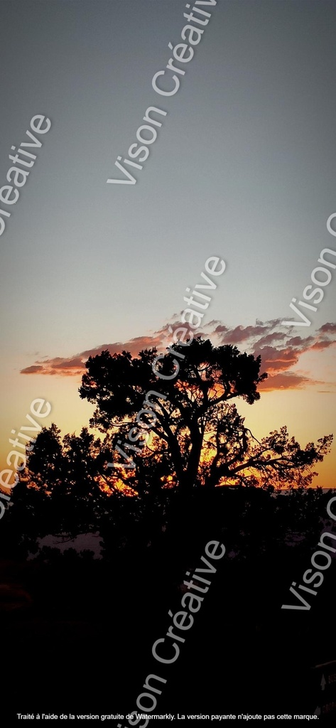 Arbre au coucher de soleil