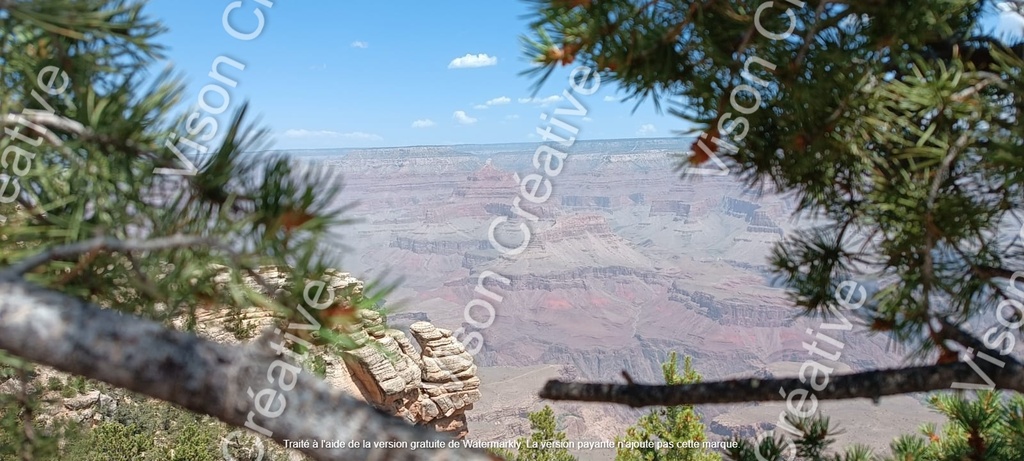 Grand Canyon entouré de nature